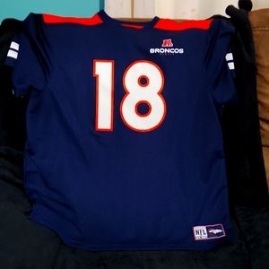 Peyton Manning jersey